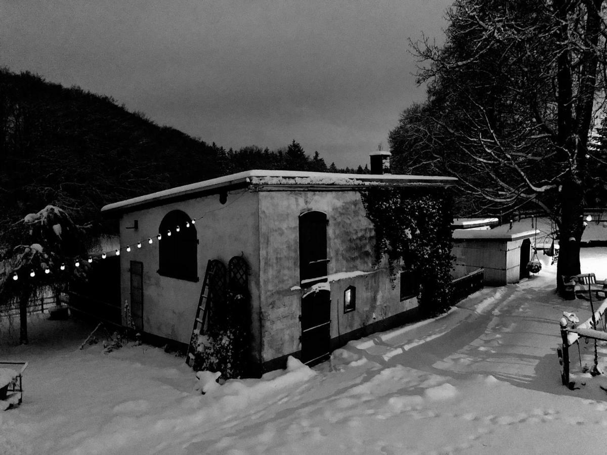 4-Zimmer Apartment Auf Resthof Halver Bagian luar foto